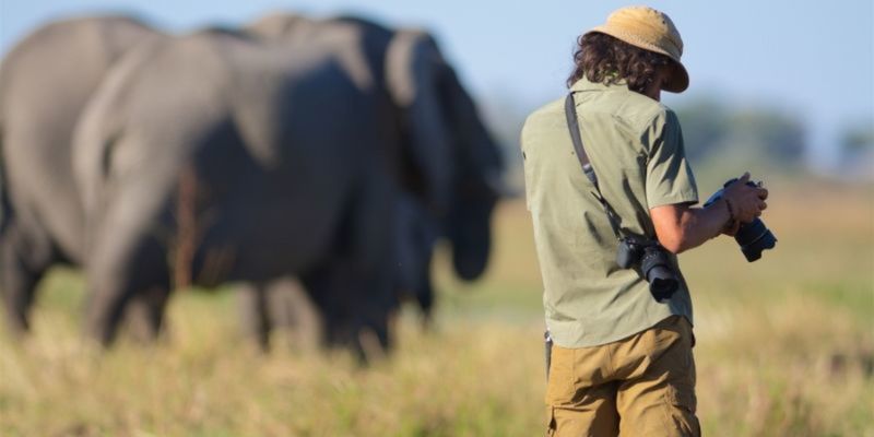 Why Wildlife Photography is a Rewarding and Diverse Career Choice